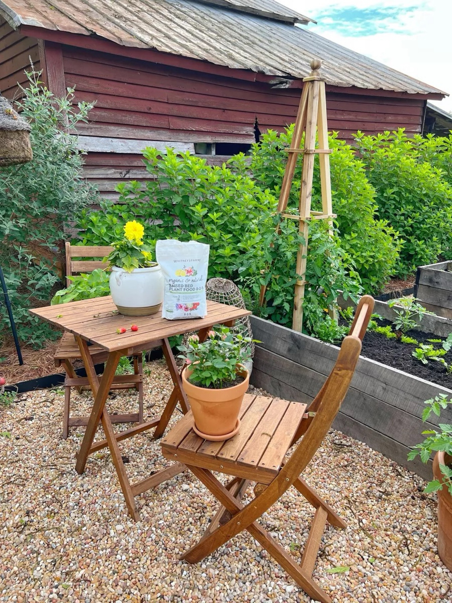 Keeping our garden thriving this year with the Whitney Farms Plant Food from @walmart. We’re also on year two of our bistro set from Walmart too! Shop our garden favorites here! #walmartpartner #walmart #IYWYK #walmartgardencenter
3/20

#LTKSeasonal #LTKhome #LTKfindsunder100
