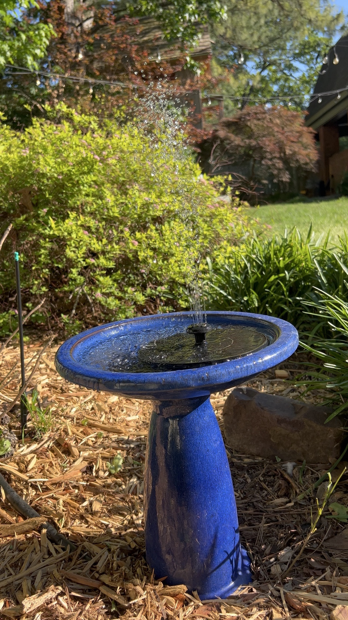 Here’s your sign to buy the cheaper fountain topper! #ltkoutdoor #ltkgarden

#LTKSeasonal #LTKdayinmylife #LTKHome