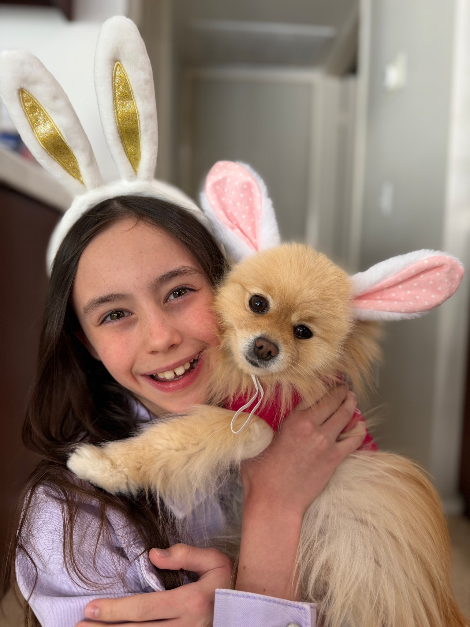 Easter headbands 🐰 

Dog bunny ears, dog Easter shirt, dog shirt. #ltkpets

#LTKKids #LTKSeasonal #LTKmomlife