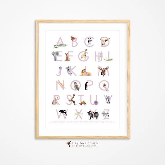 Nursery Alphabet Print, Alphabet Art, Nursery Wall Art, Alphabet Poster, ABC Wall Art, Nursery De... | Etsy (US)