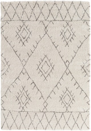 Flintville Area Rug | Boutique Rugs
