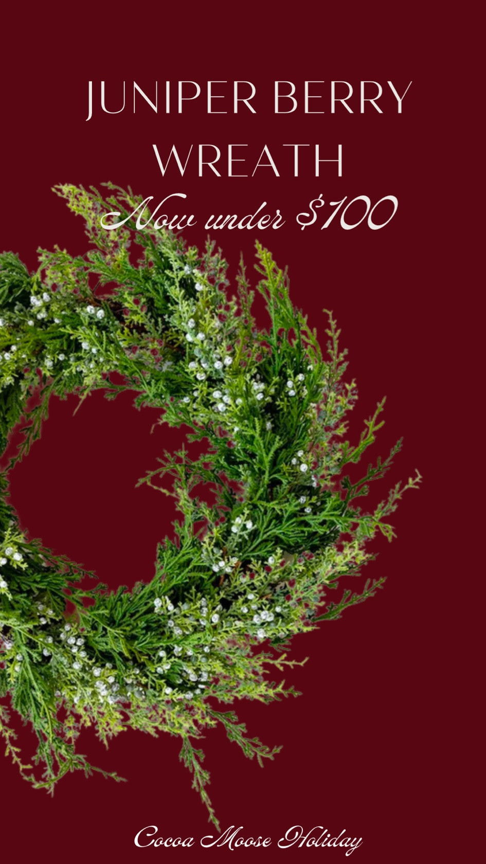 Gorgeous juniper berry wreath on sale for under $100, Christmas wreath, Christmas decor, Christmas greenery 

#LTKSeasonal #LTKHoliday