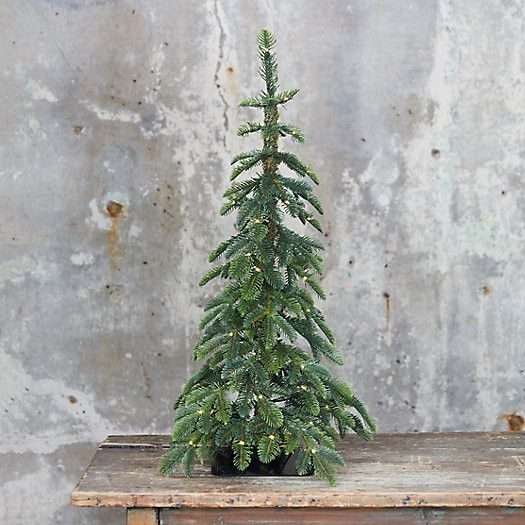 Faux Pre-lit LED Alpine Tabletop Tree | Terrain