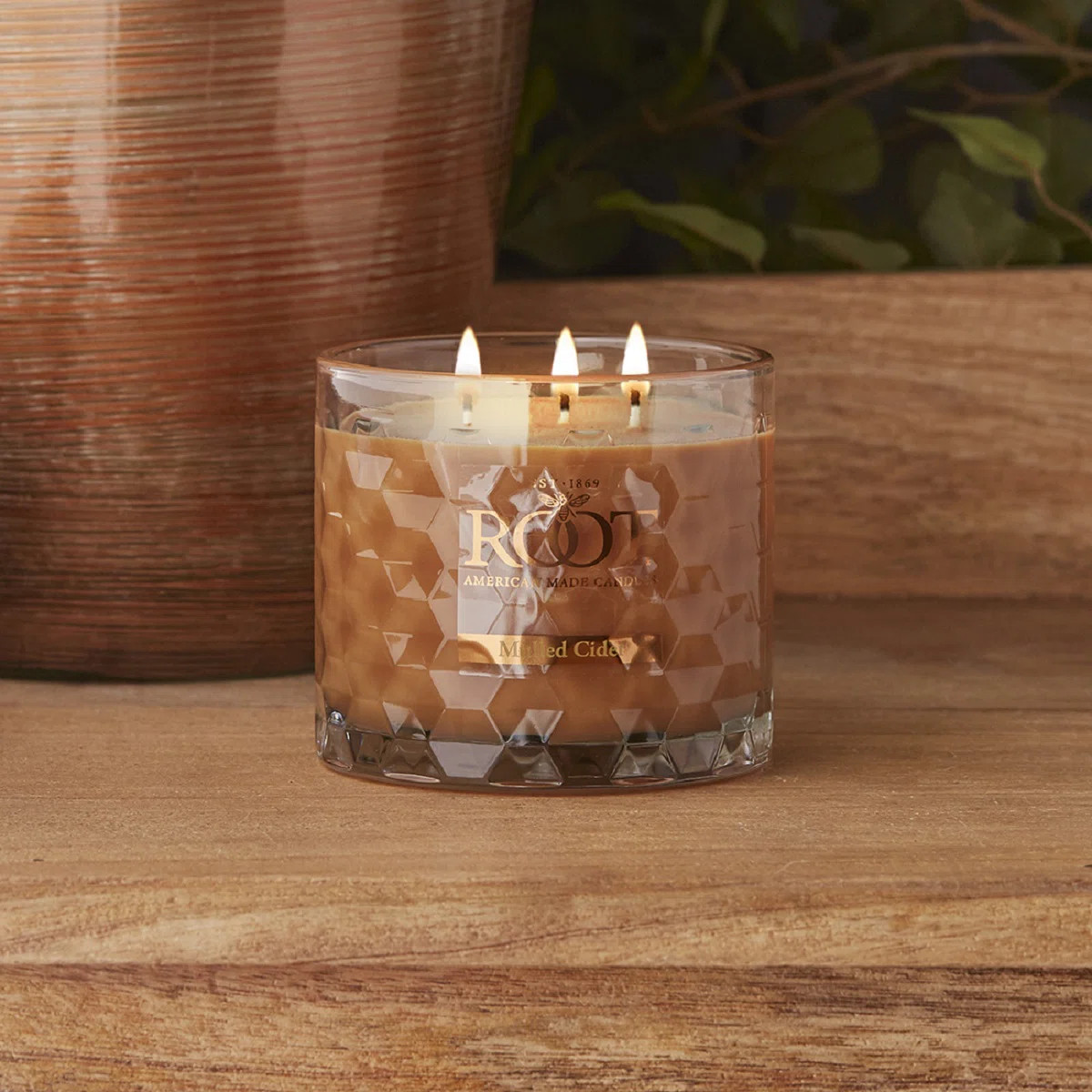 Mulled Cider Scented Jar Candle | Wayfair North America