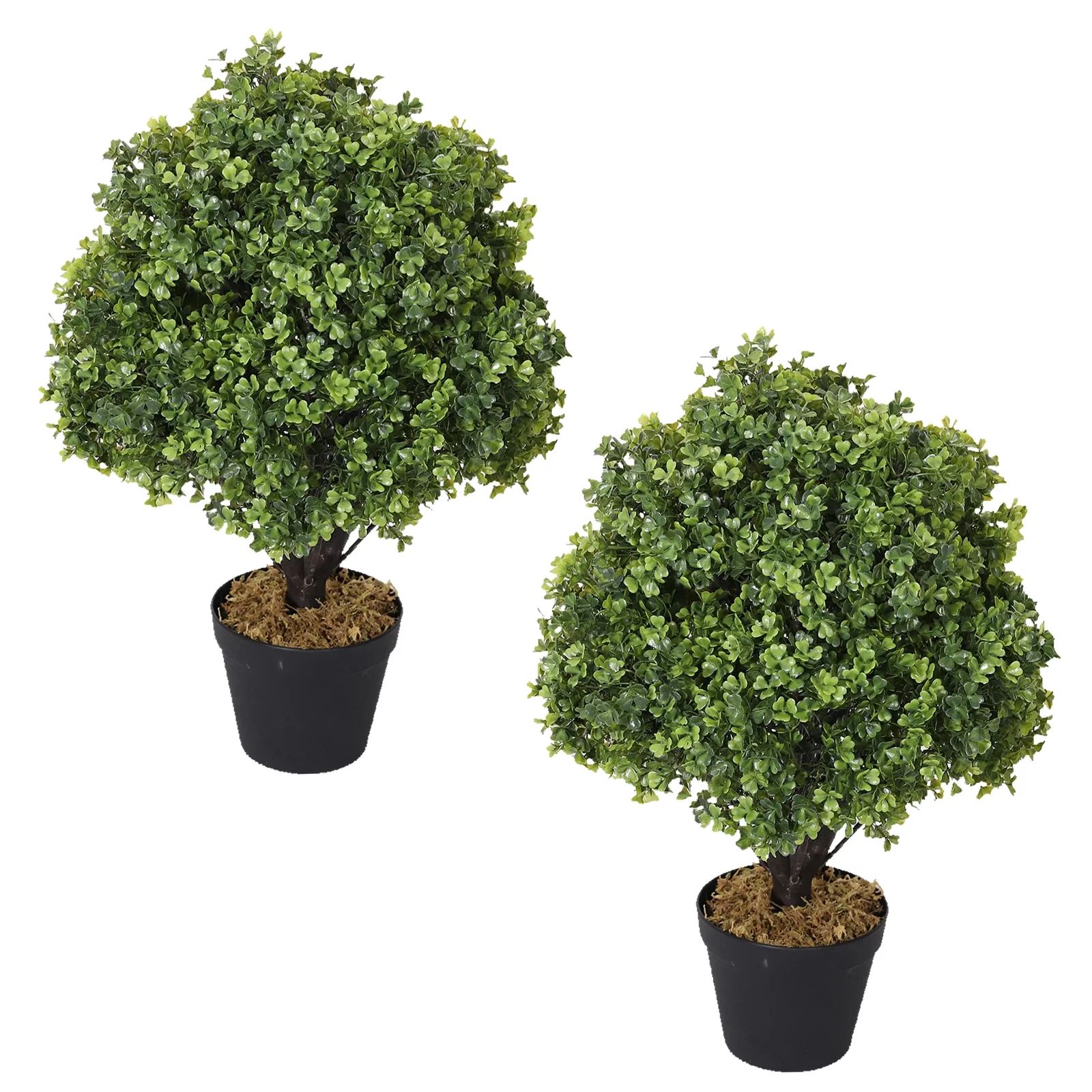 Poetree Set of 2 - Pre-Potted 24" High Ball Shaped Boxwood Topiary- 16" Diameter - Plastic Pot | Walmart (US)