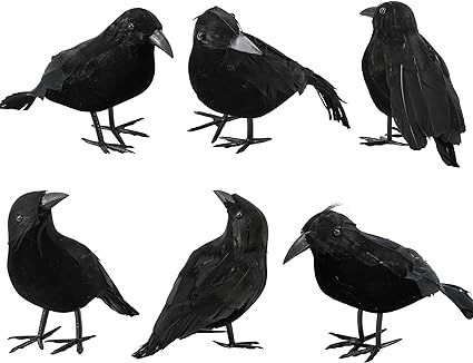 Abakuku 6 Pack Halloween Crow Decorations - Realistic Handmade Crow Black Feathered Crow, Hallowe... | Amazon (US)