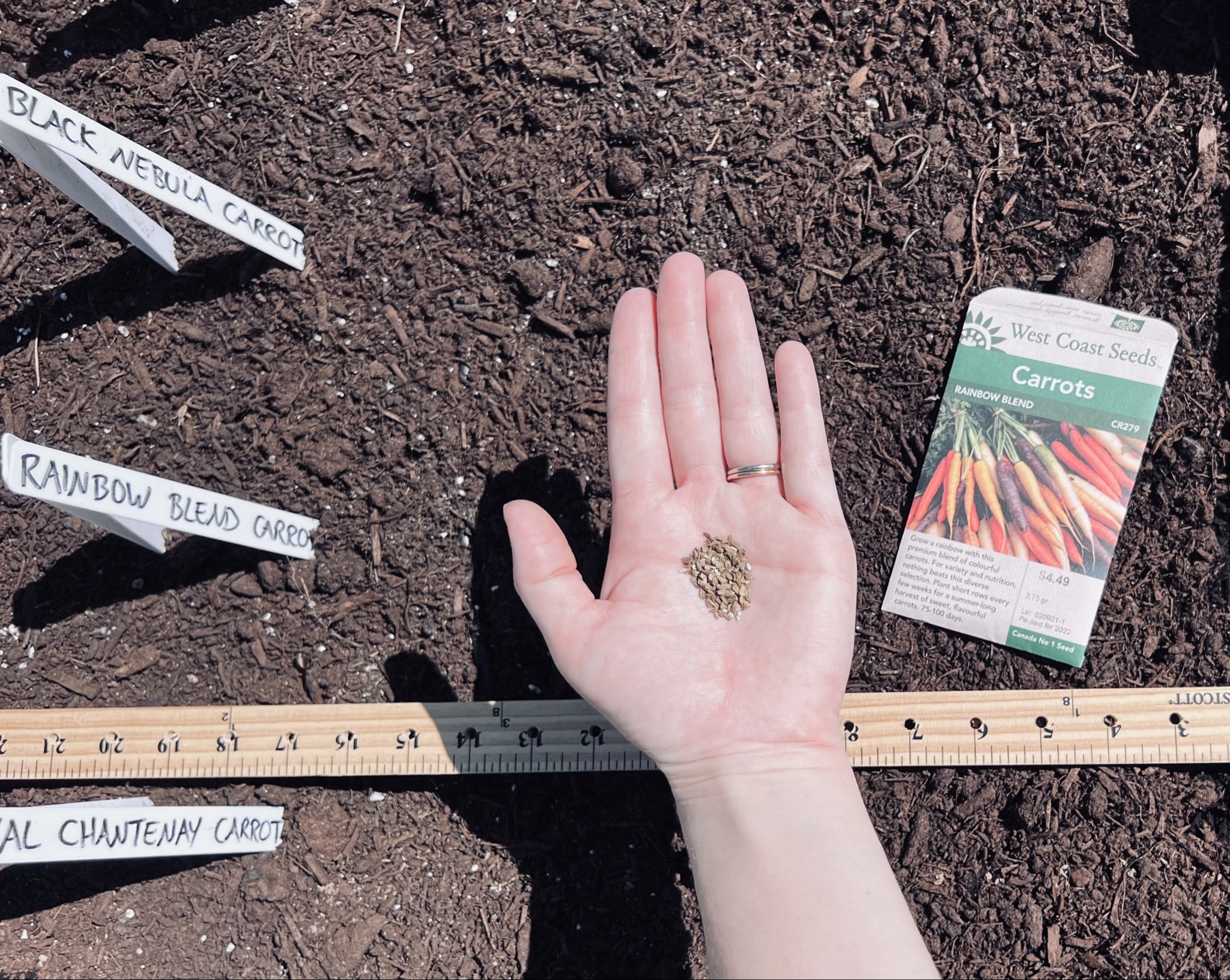 Rainbow carrots fresh from the garden 🥕👩🏻‍🌾 #garden 

#LTKSeasonal #LTKhome