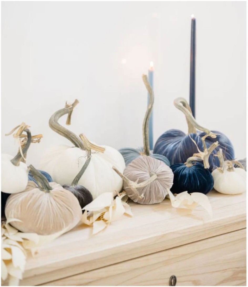 Velvet pumpkins, fall decor, blue pumpkins neutral decor 

#LTKhome #LTKsalealert #LTKfindsunder50