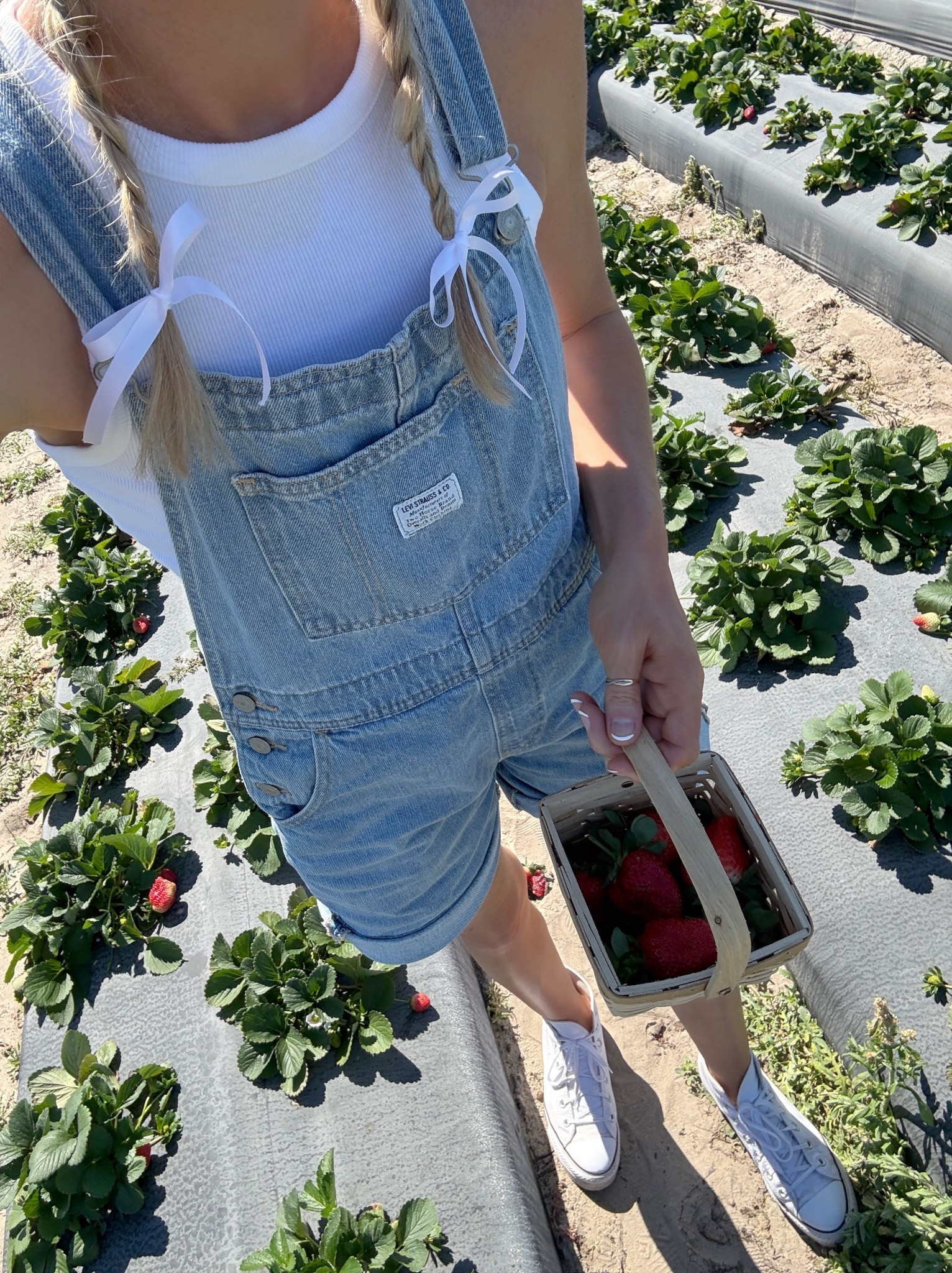 strawberry picking 🍓

Levi’s denim shortalls. Women’s denim shortalls. Strawberry picking outfit. Spring fashion. Spring aesthetic. 

#LTKootd
