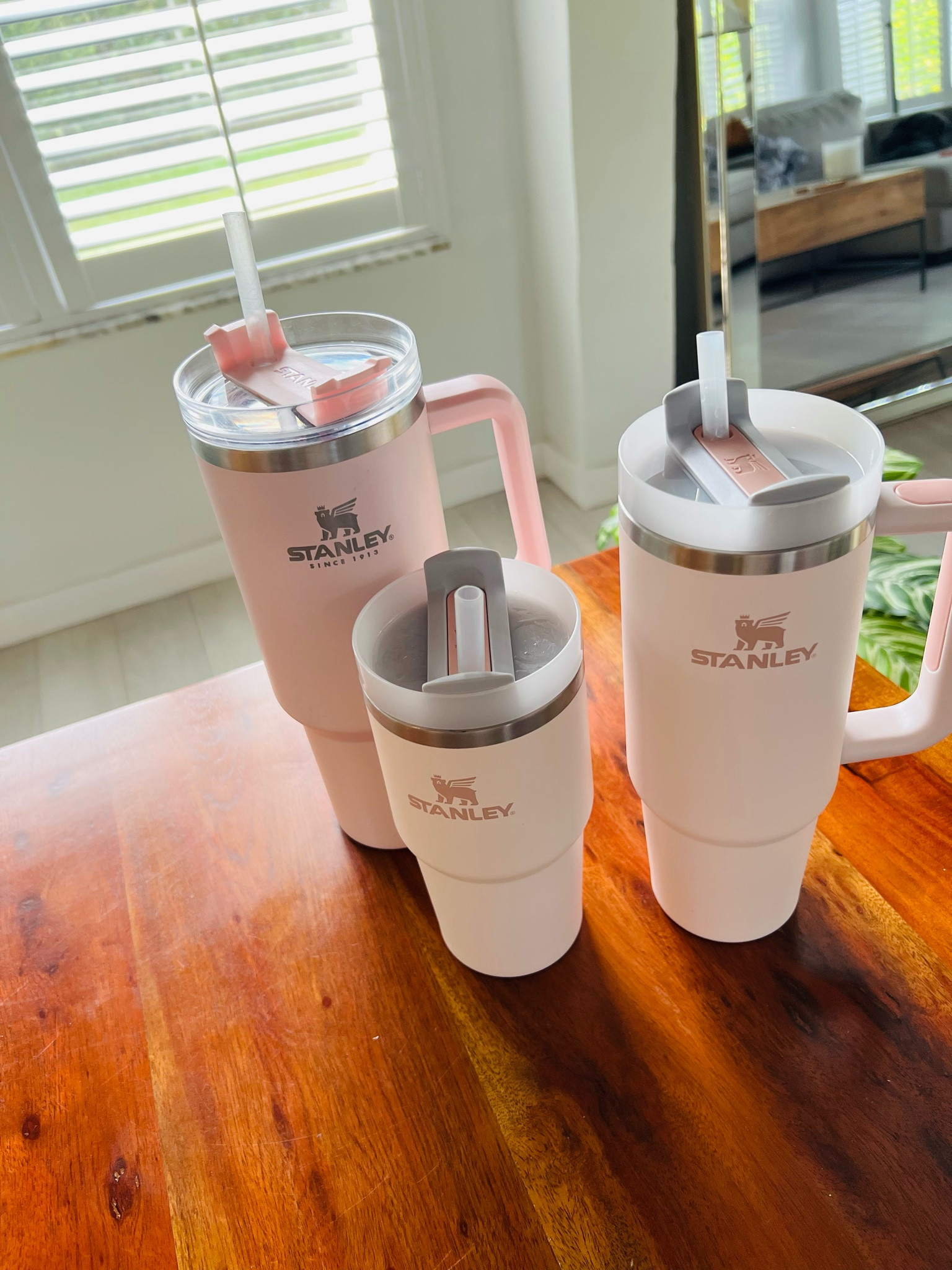 Great gift idea
Stanley quencher 
40oz 30oz and 20oz 
Honestly my favorite is the 40oz. 🥰

#LTKfamily #LTKGiftGuide #LTKHoliday