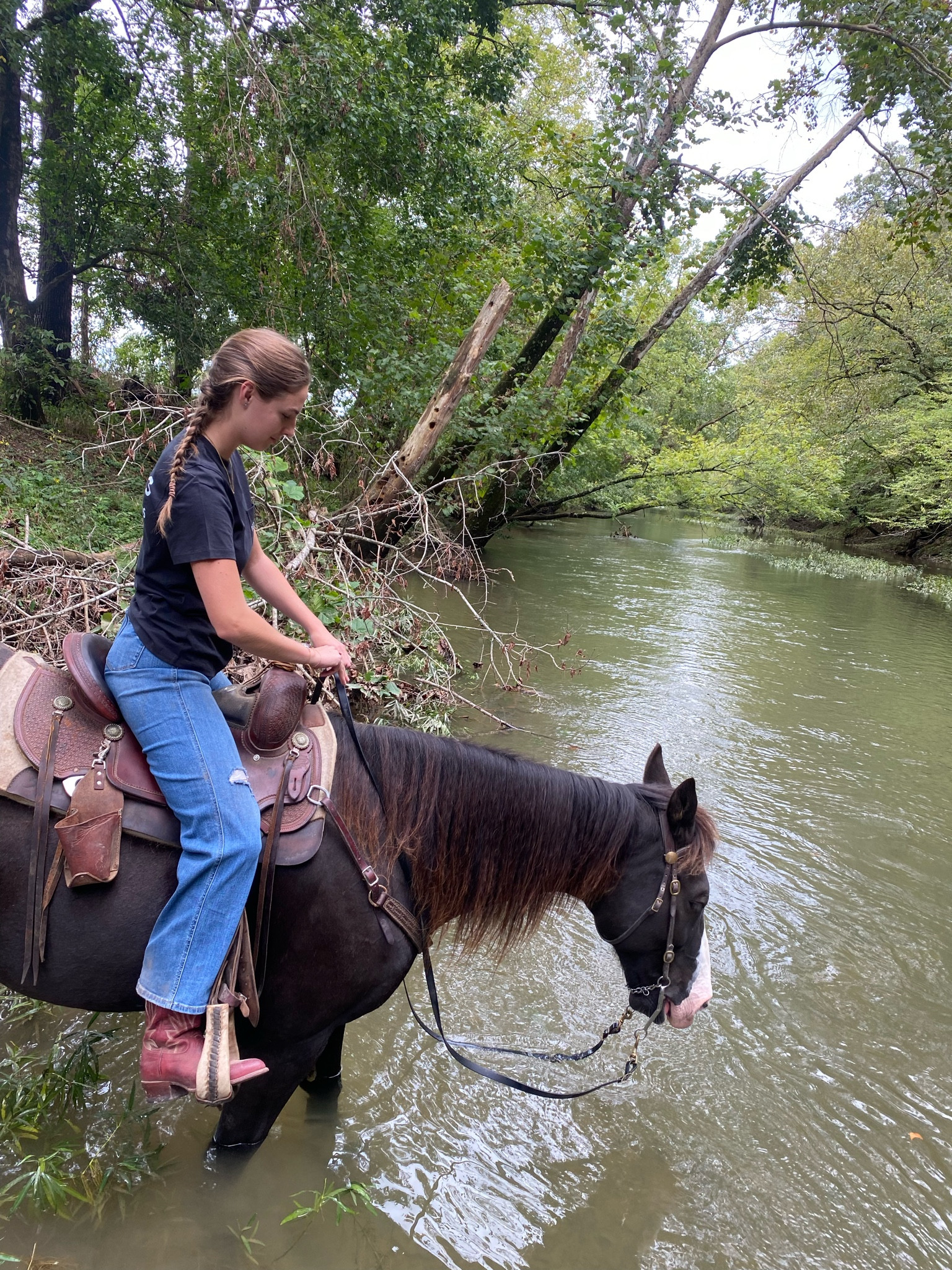 AMAZON cowgirl boot finds !!! 

#LTKWorkwear #LTKShoeCrush #LTKFindsUnder100