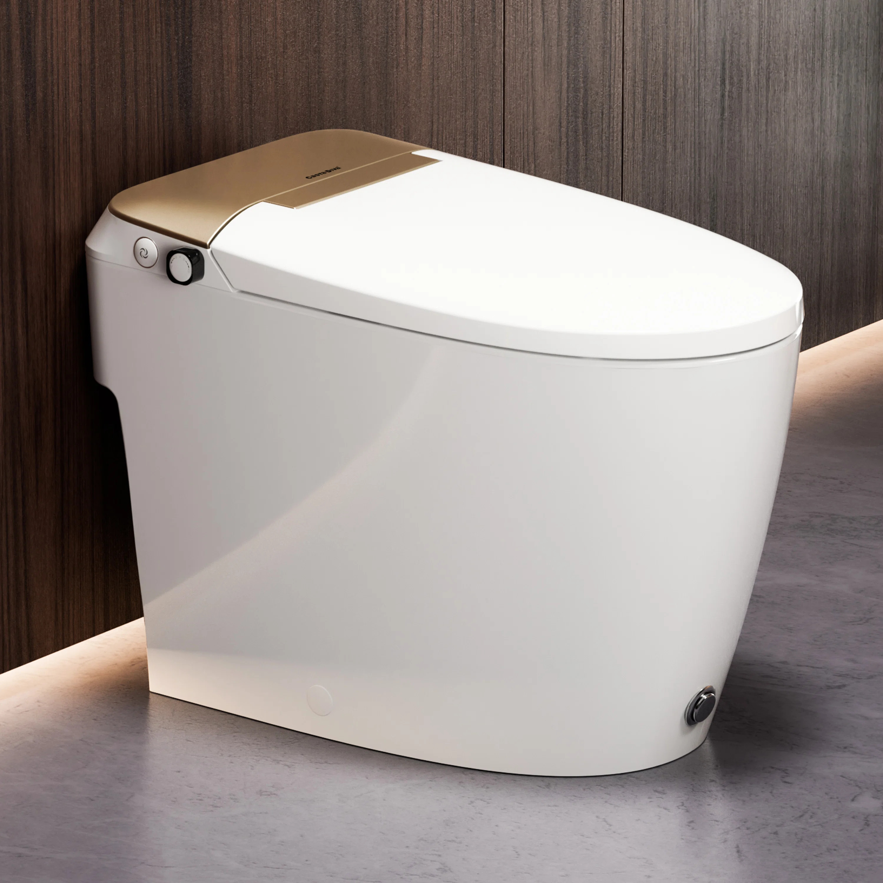 Non-Electric Bidet Toilet, MAP 1000g Powerful Flush Smart Toilet with Lady/Rear Wash, Foot-kick Flush, ADA Comfort Seat Height (Power Free) | Wayfair North America