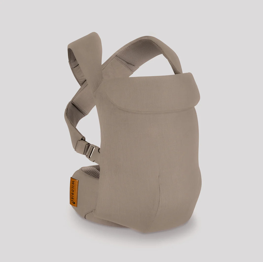 Desert Lark - Aerial Carrier | Wildbird
