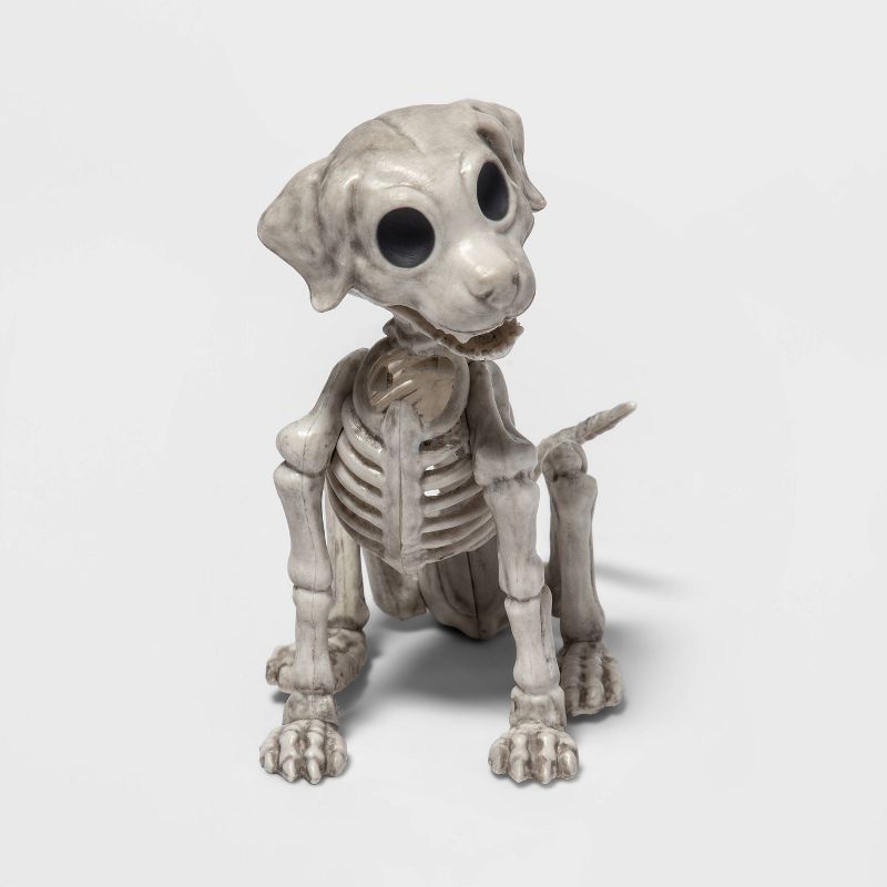 Puppy Skeleton Halloween Decorative Prop - Hyde &#38; EEK! Boutique&#8482; | Target