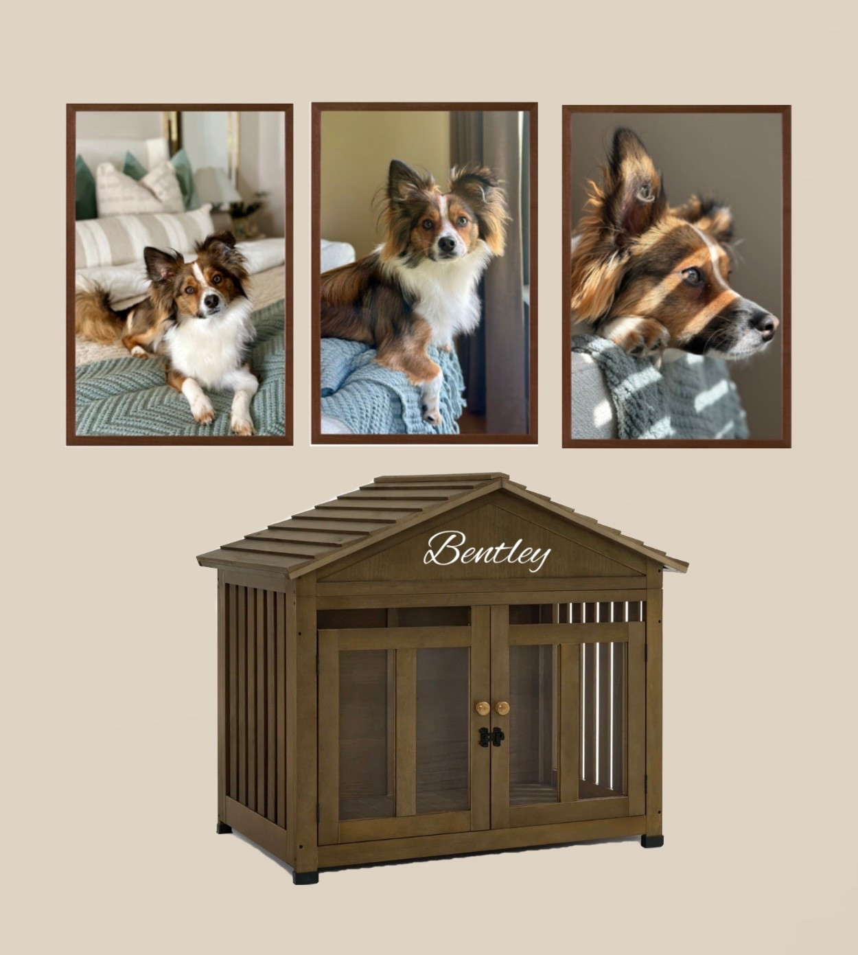 Bentleys dog crate inspo! 



#LTKHome #LTKPets #LTKStyleTip