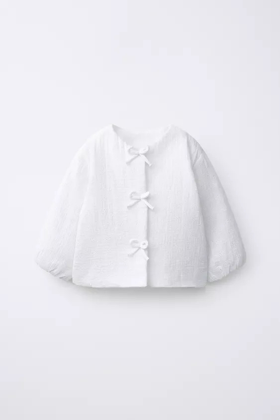 SWISS EMBROIDERED JACKET | Zara US