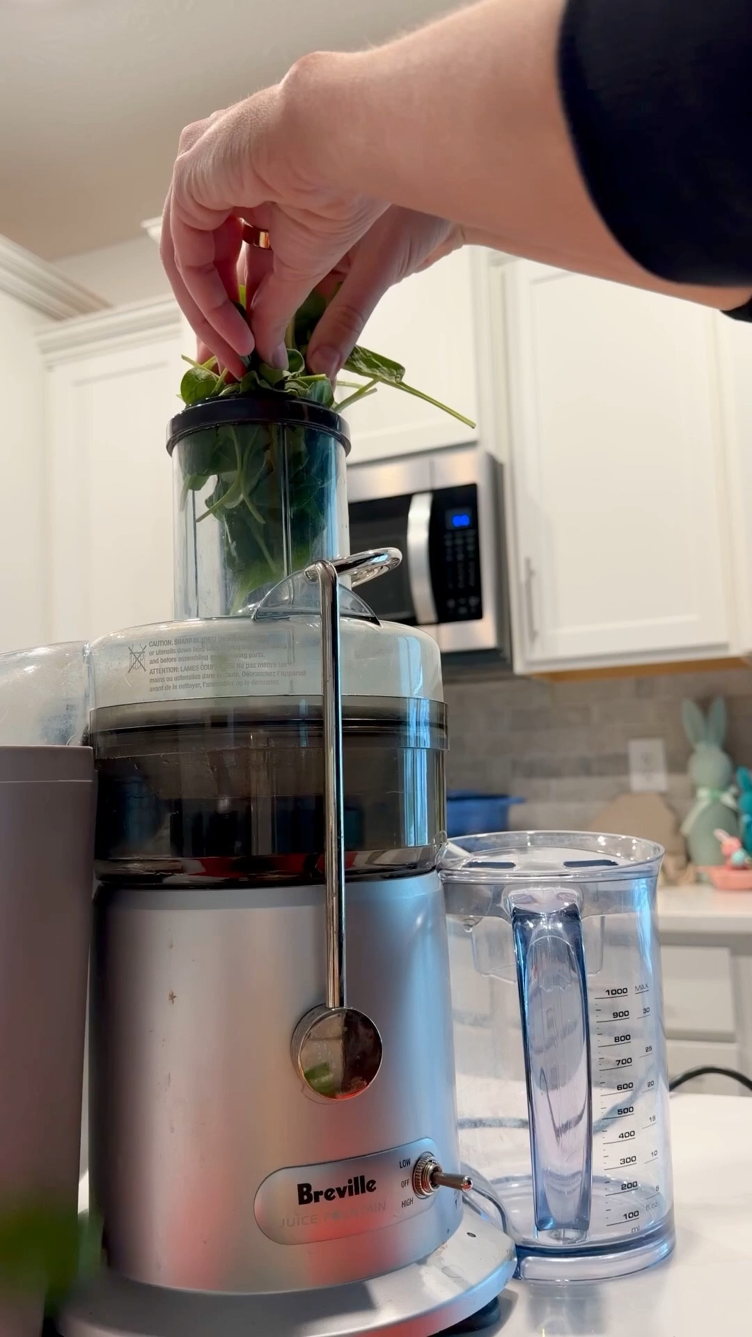 Juicers are the best especially for summerr

#LTKHome #LTKfoodie