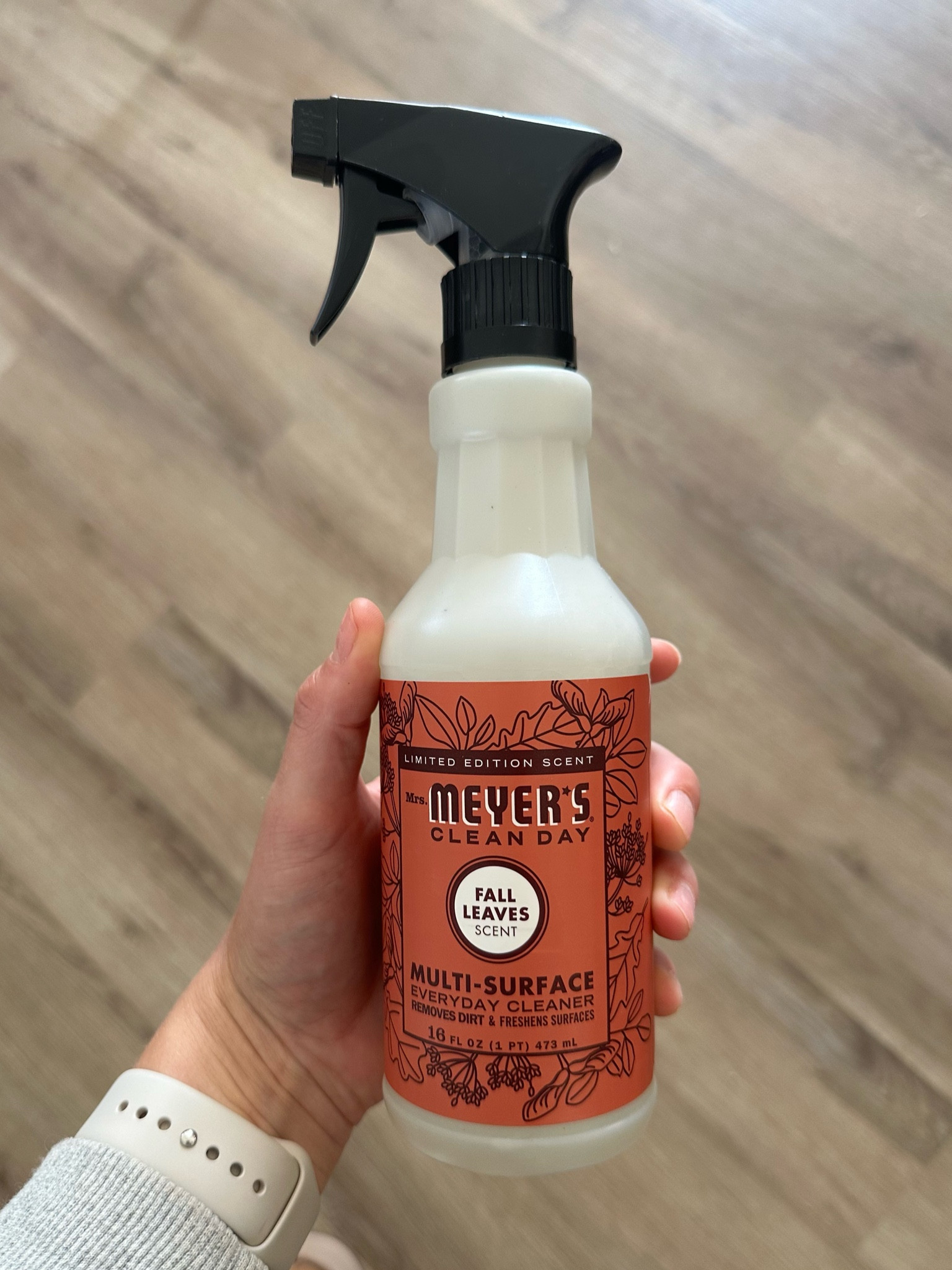 The BEST subtle and fresh fall scented multi-surface spray! Fall necessity!

Fall scent, all purpose spray, cleaning products

#LTKSeasonal #LTKhome