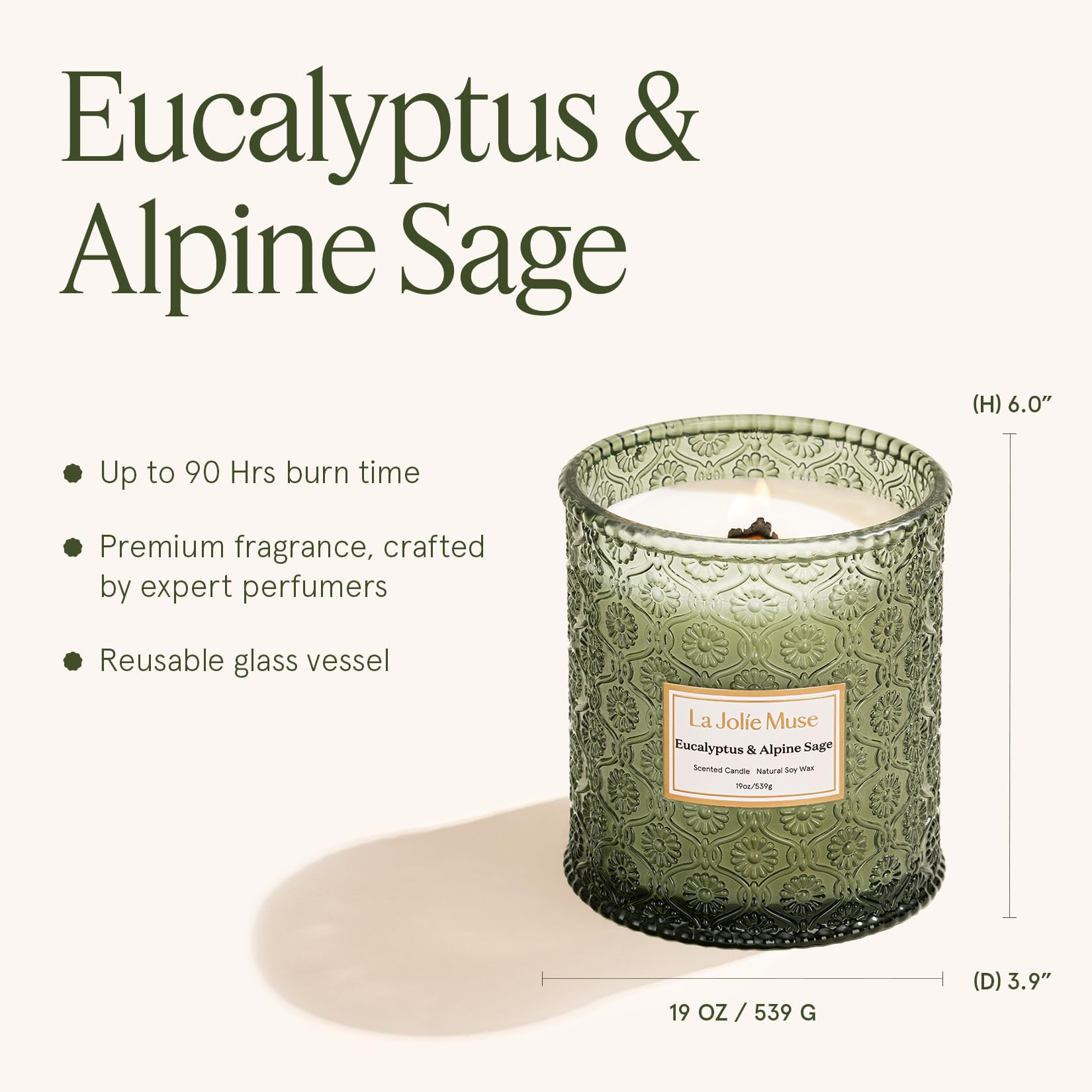LA JOLIE MUSE Eucalyptus & Alpine Sage Candle – Eucalyptus, Sage & Lavender | 19 oz Wooden Wick... | Amazon (US)
