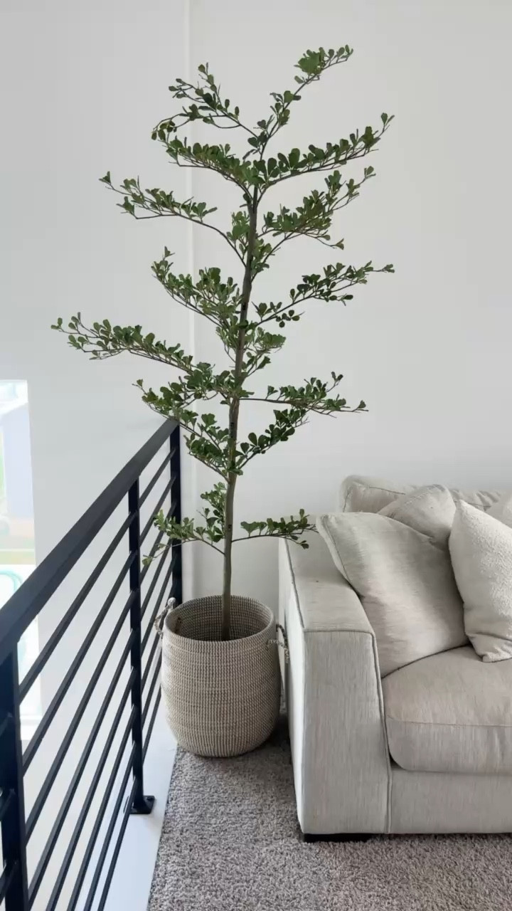 If your space feels like it’s missing something, this might be it. 🌿 A faux olive tree adds height, texture, and timeless charm no green thumb required.

#homefinds #olivetree #cozyhome #homeideas #homedesigns #Amazonhome #Homedisplay

#LTKHome
