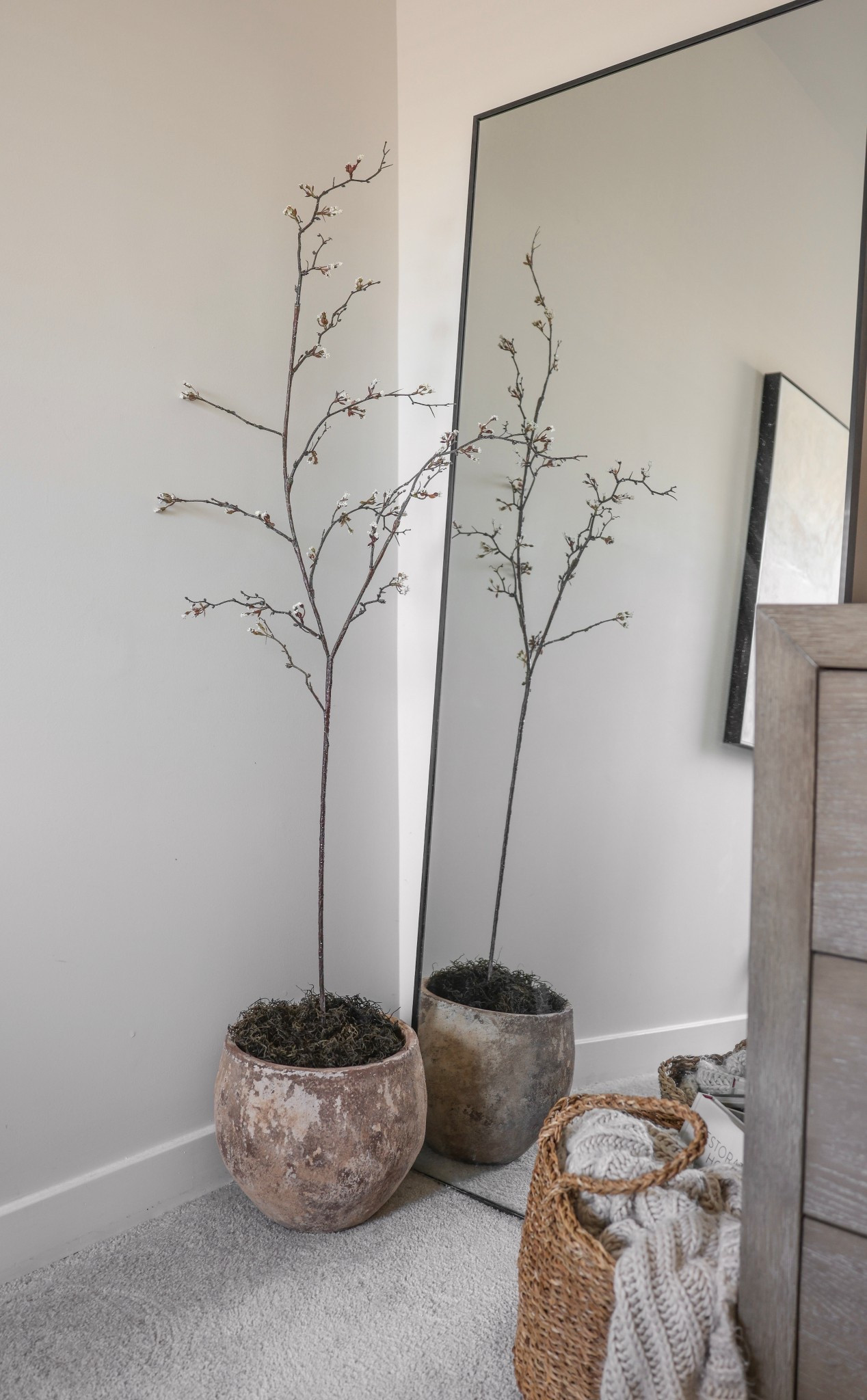 Most affordable and easy DIY 

#LTKStyleTip #LTKHome #LTKSpringSale