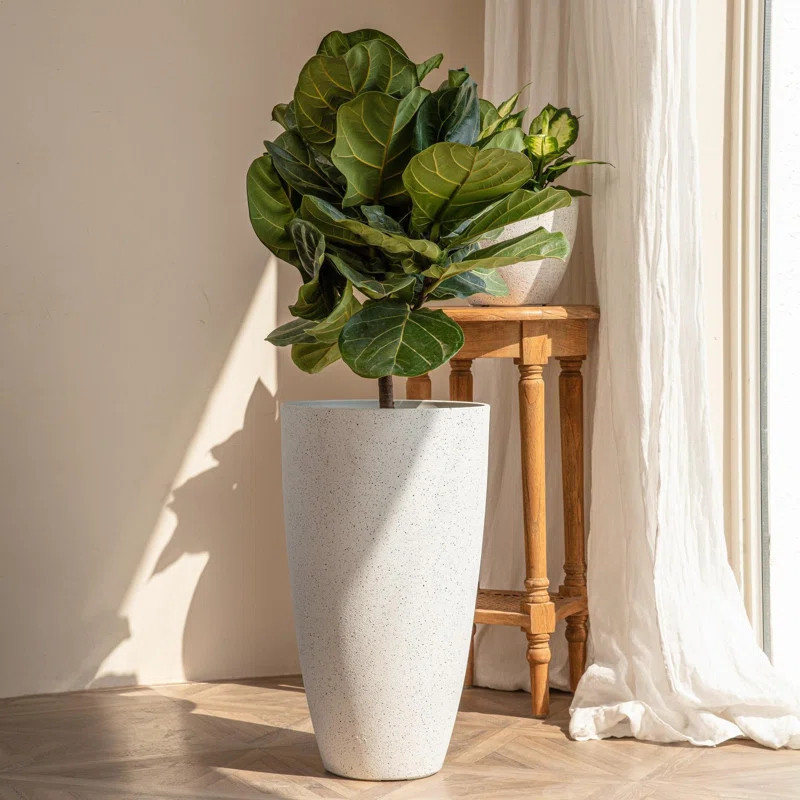 Tall Large Round Planters 2 Pack, Large Planter Pots for Front Door | Wayfair North America