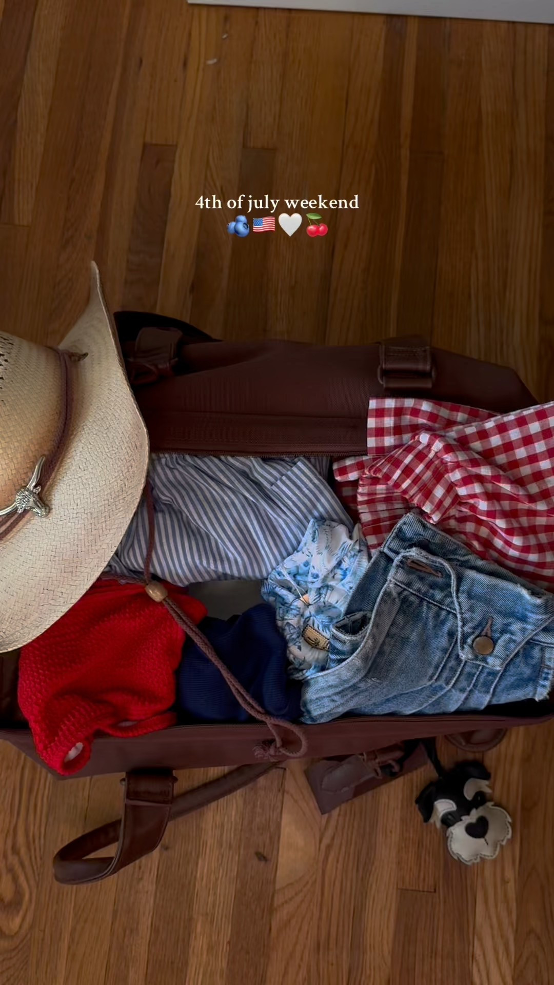 What I packed for 4th of July weekend! 🫐🇺🇸🤍🍒

#LTKStyleTip #LTKSeasonal #LTKItBag
