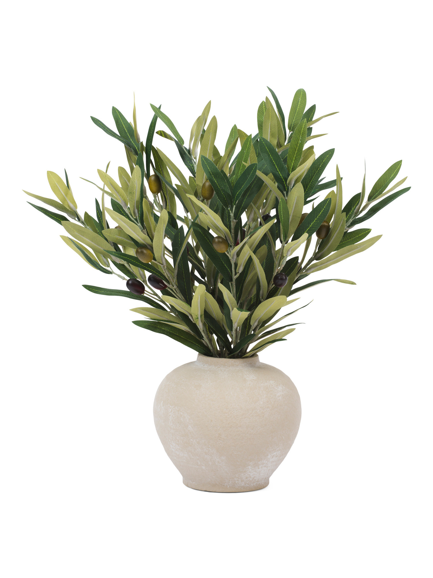 18in Olive Branches In Ceramic Pot | TJ Maxx