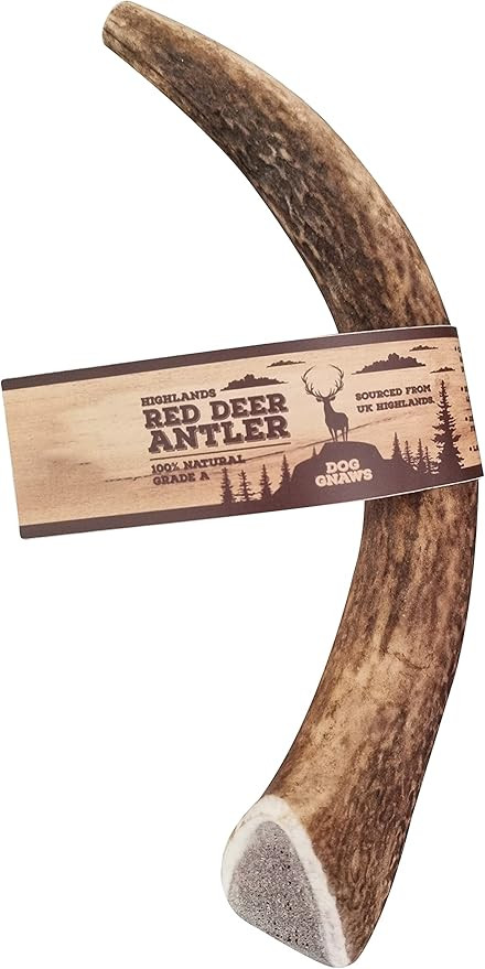 Dog gnaws Deer Antlers for Dogs – Large Dog Antler Natural Dog Treats and Chews – GradeA, Sus... | Amazon (UK)