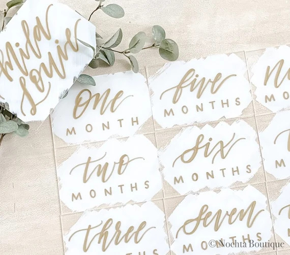 Baby Monthly Milestone Signs | Set Of 13 Acrylic Birth To One Year Signs | Baby Announcement | Ba... | Etsy (US)