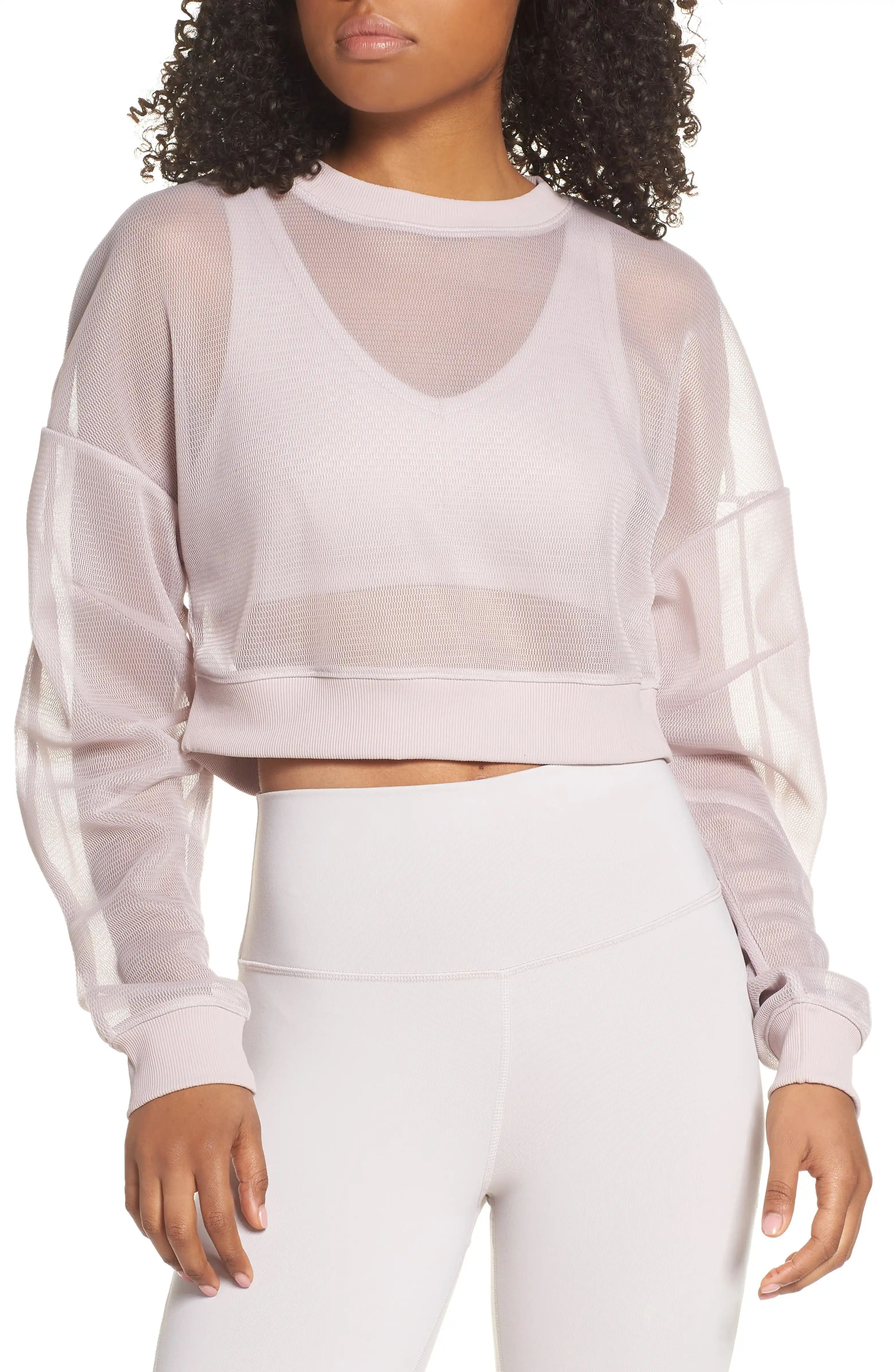 Row Sheer Crop Sweatshirt | Nordstrom