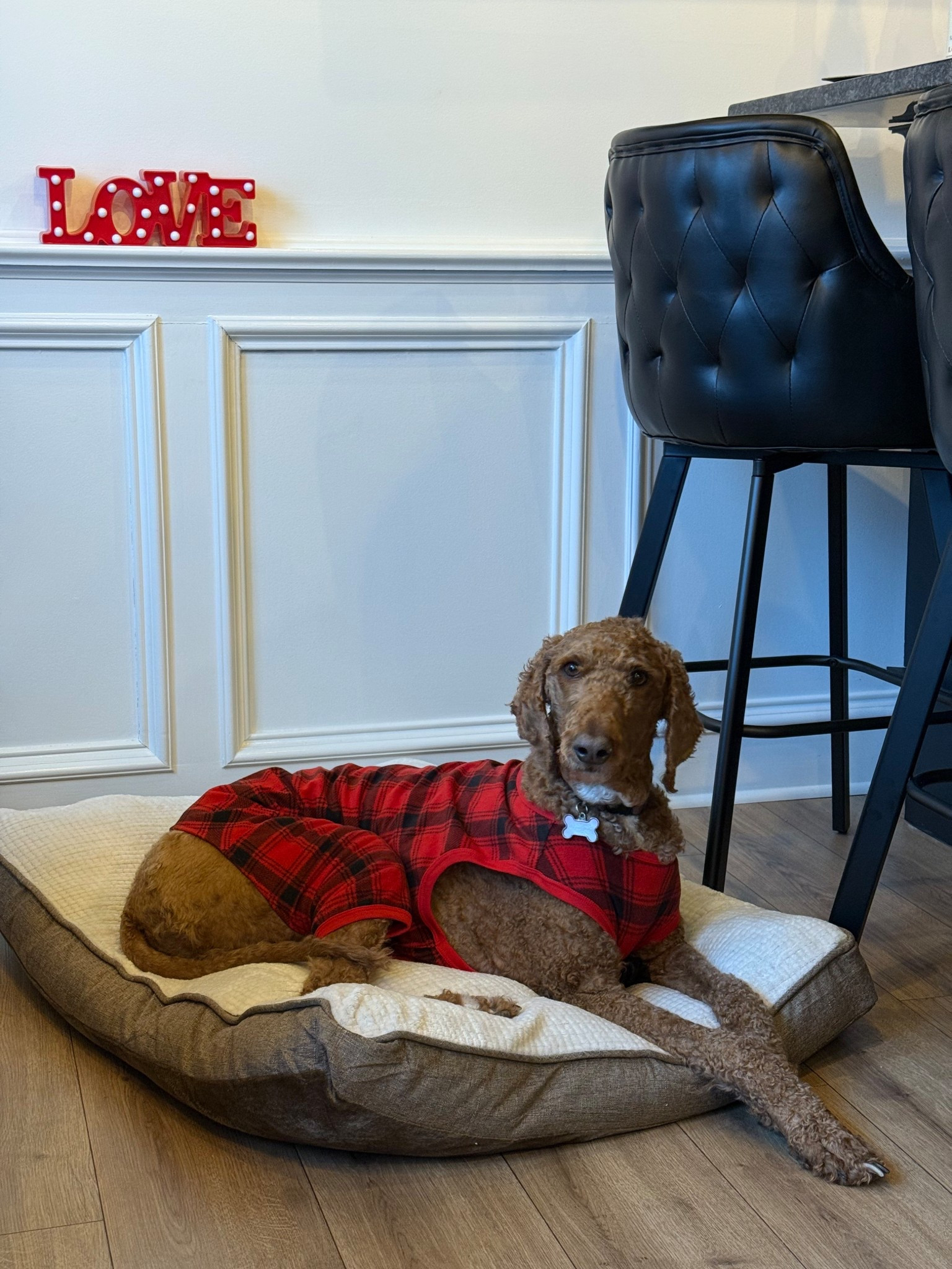 I have to keep my only daughter stylish 😂 I love buffalo check because it flows right from Christmas to Valentine’s Day ❤️ #dogmom

#LTKSeasonal #LTKootd #LTKValentine