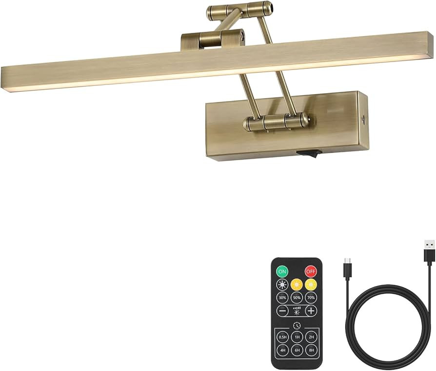 Pasoar Picture Light Battery Operated Brass 40 cm Long Rechargeable Wall Lights Dimmable LED Libr... | Amazon (UK)