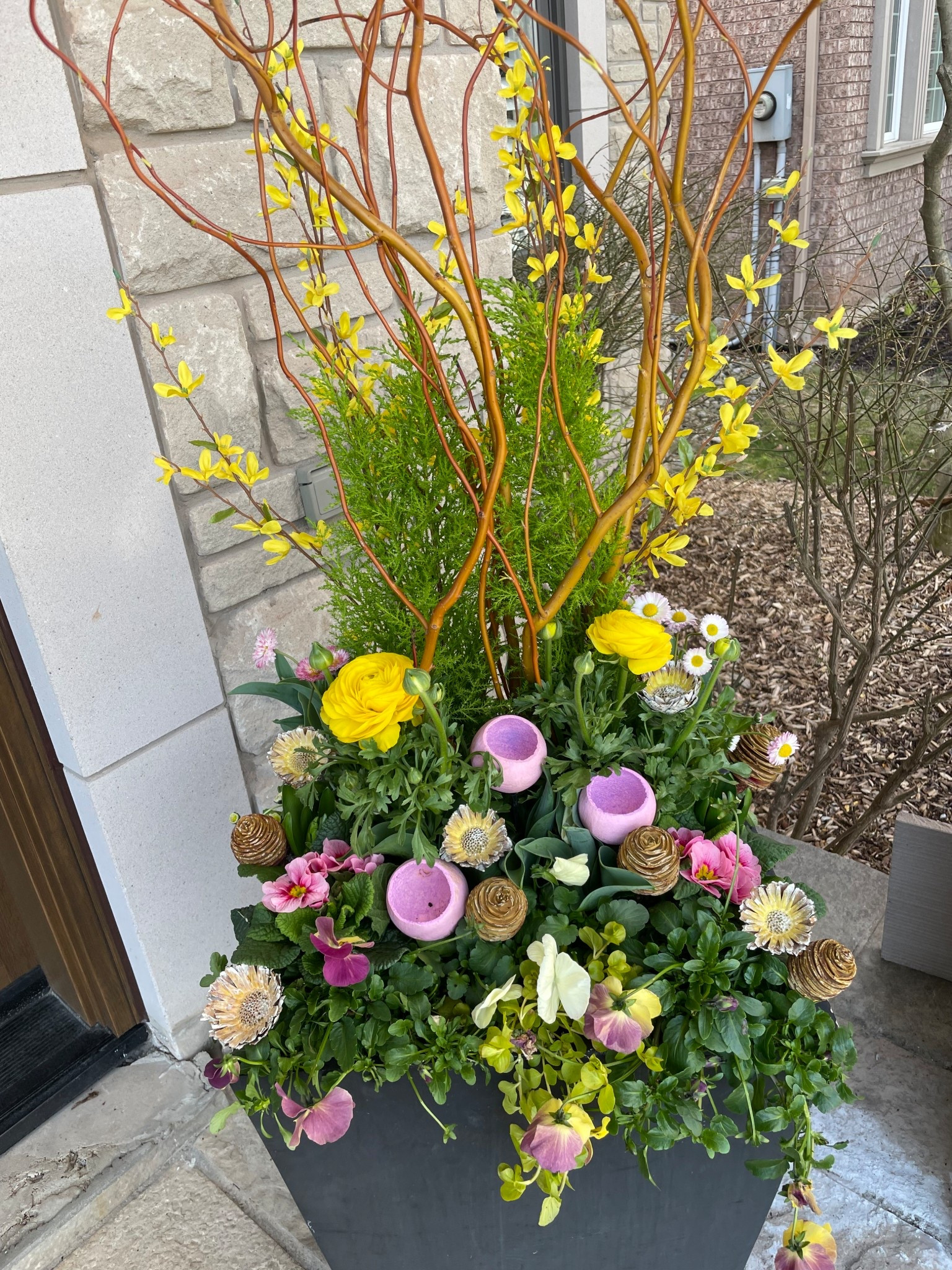 Curly willow for your spring decor! 

#LTKhome