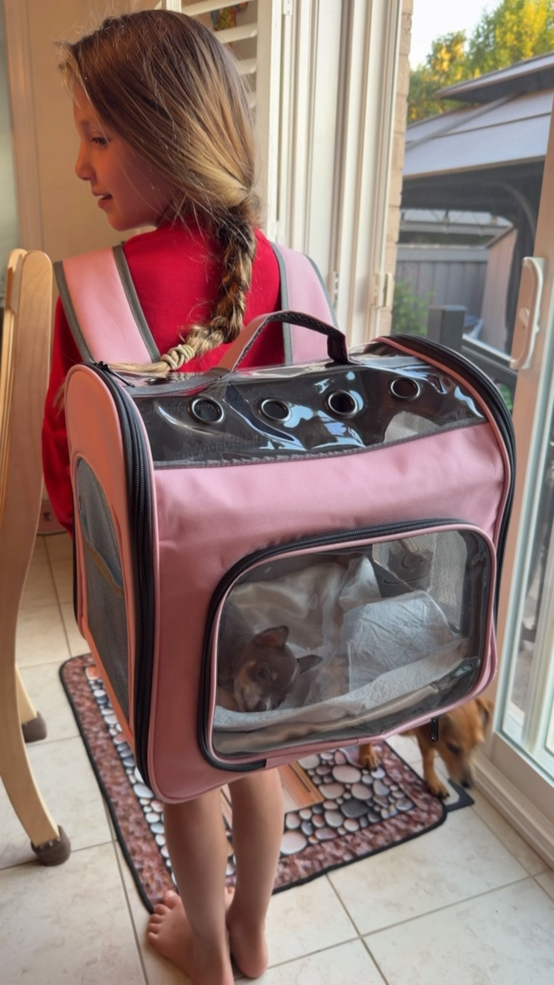 Puppy
Dog mom
Travel bag
Pet carrier

#LTKtravel #LTKkids