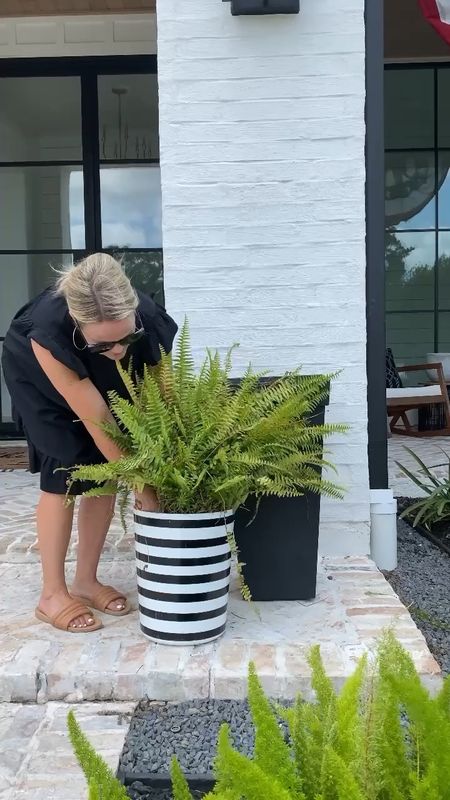 Use these $5 trash bins from Walmart to water your plants before returning them to their outdoor planter! 

Walmart home, patio, porch

#LTKSeasonal #LTKhome #LTKunder50
