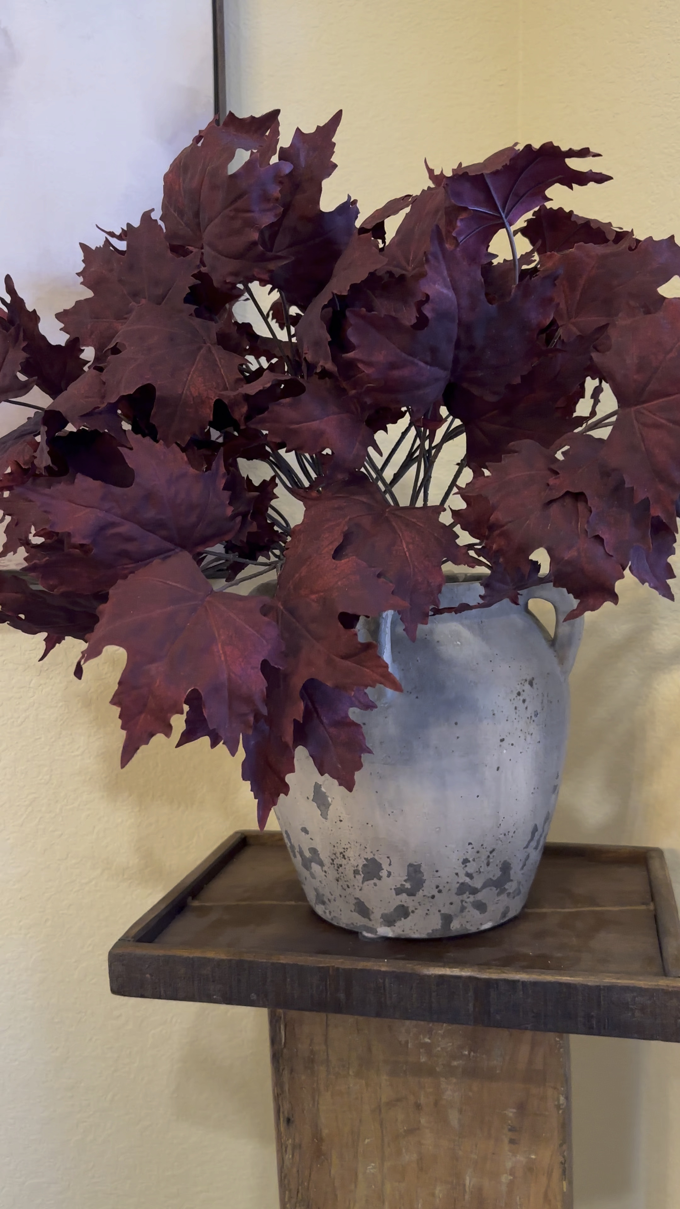 Shop vase and stems

#LTKSeasonal #LTKhome