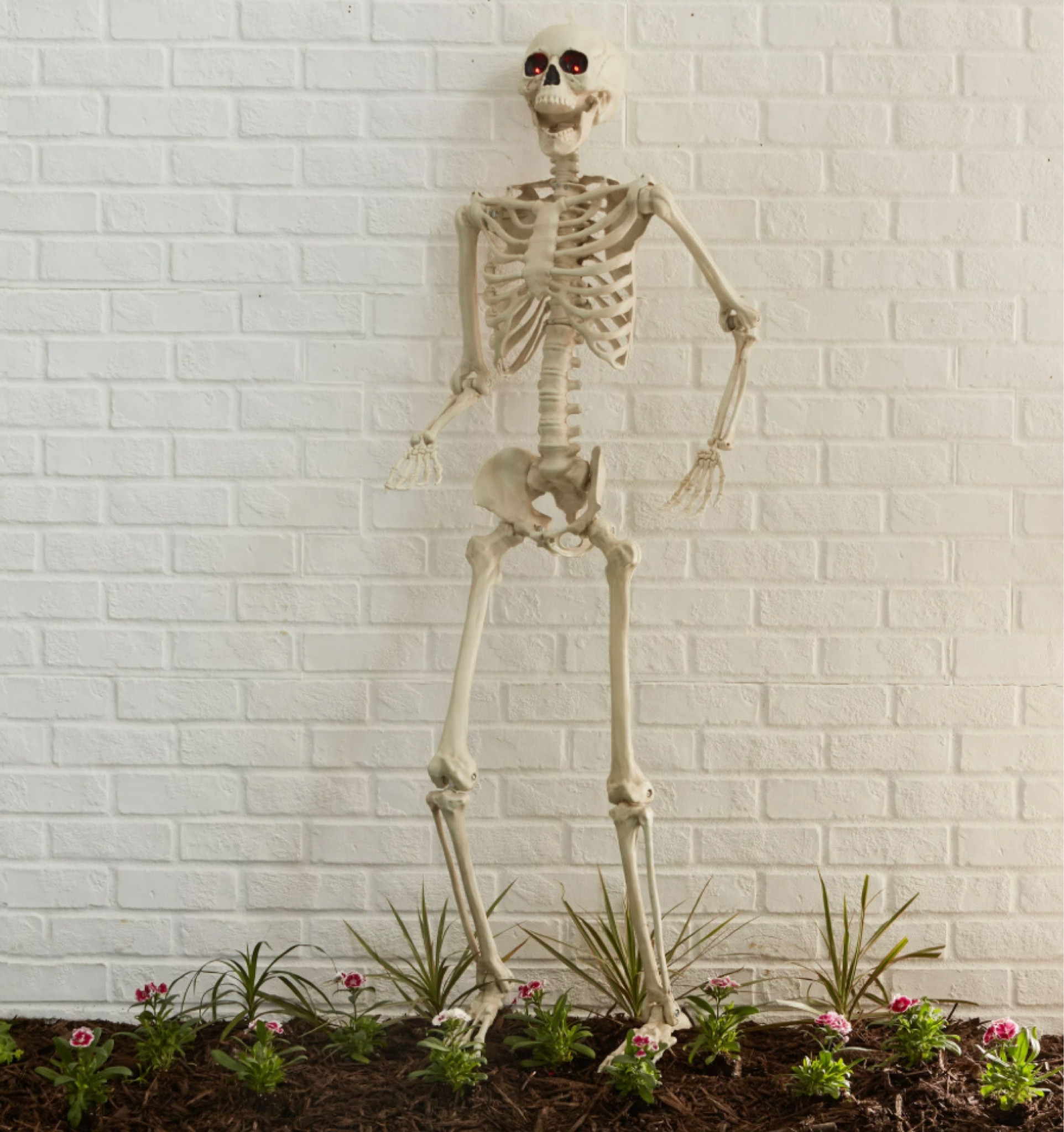 Halloween decor,  posable skeleton these posable skeletons are so fun

Gold skeleton, black skeleton, outdoor Halloween decor, indoor Halloween decor, target home, Walmart home, moving skeleton 

#LTKhome #LTKHalloween #LTKSeasonal