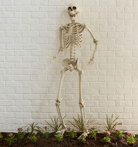 Halloween decor,  posable skeleton these posable skeletons are so fun

Gold skeleton, black skeleton, outdoor Halloween decor, indoor Halloween decor, target home, Walmart home, moving skeleton 

#LTKhome #LTKHalloween #LTKSeasonal