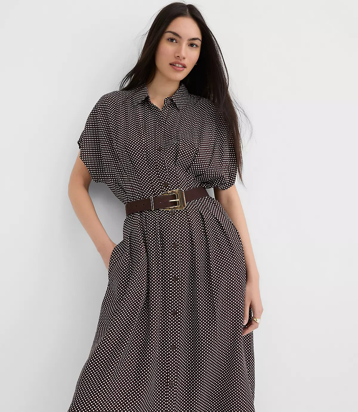 Pindot Pleated Midi Pocket Shirtdress | LOFT