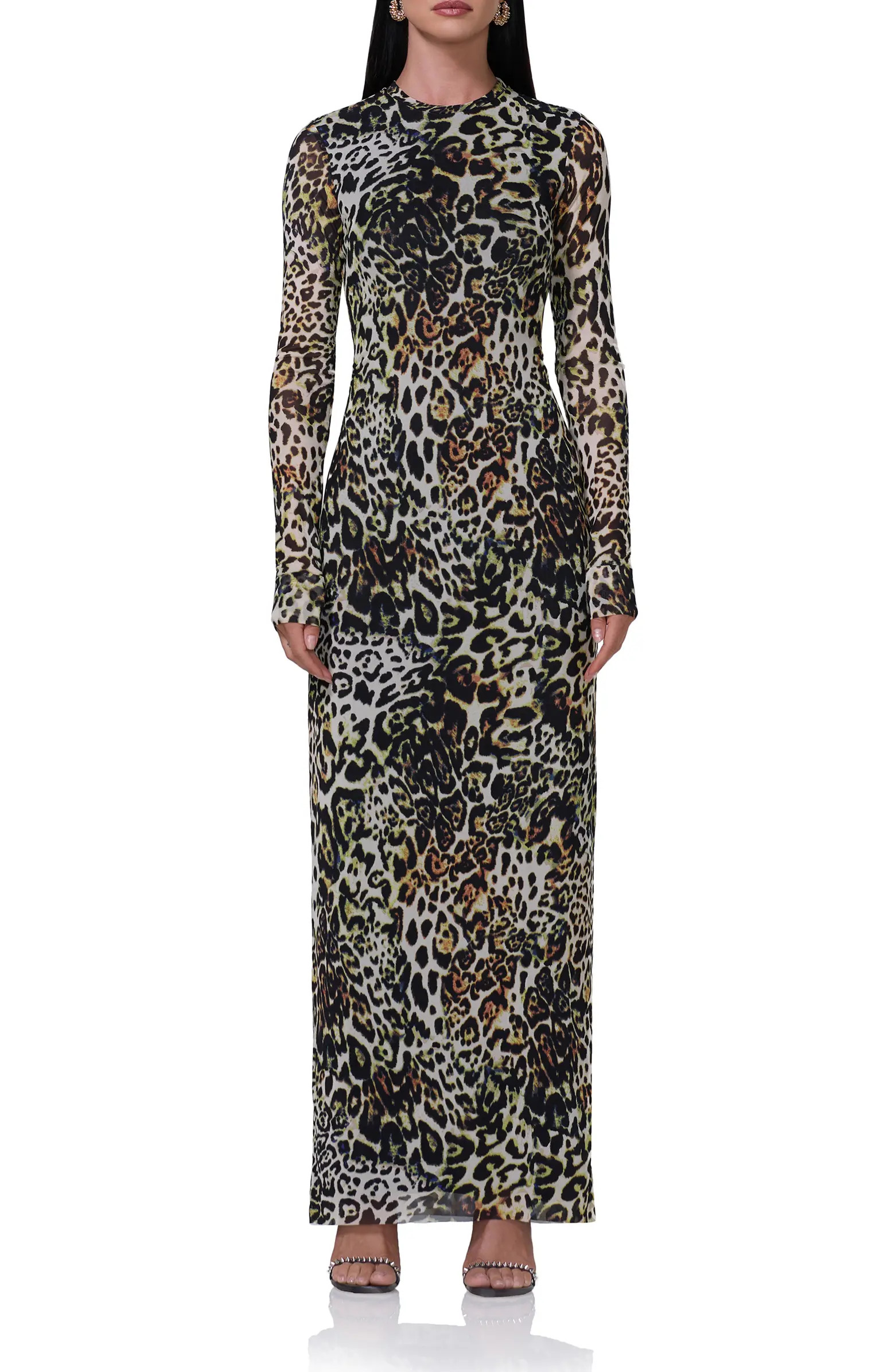 Didi Long Sleeve Mesh Maxi Dress | Nordstrom