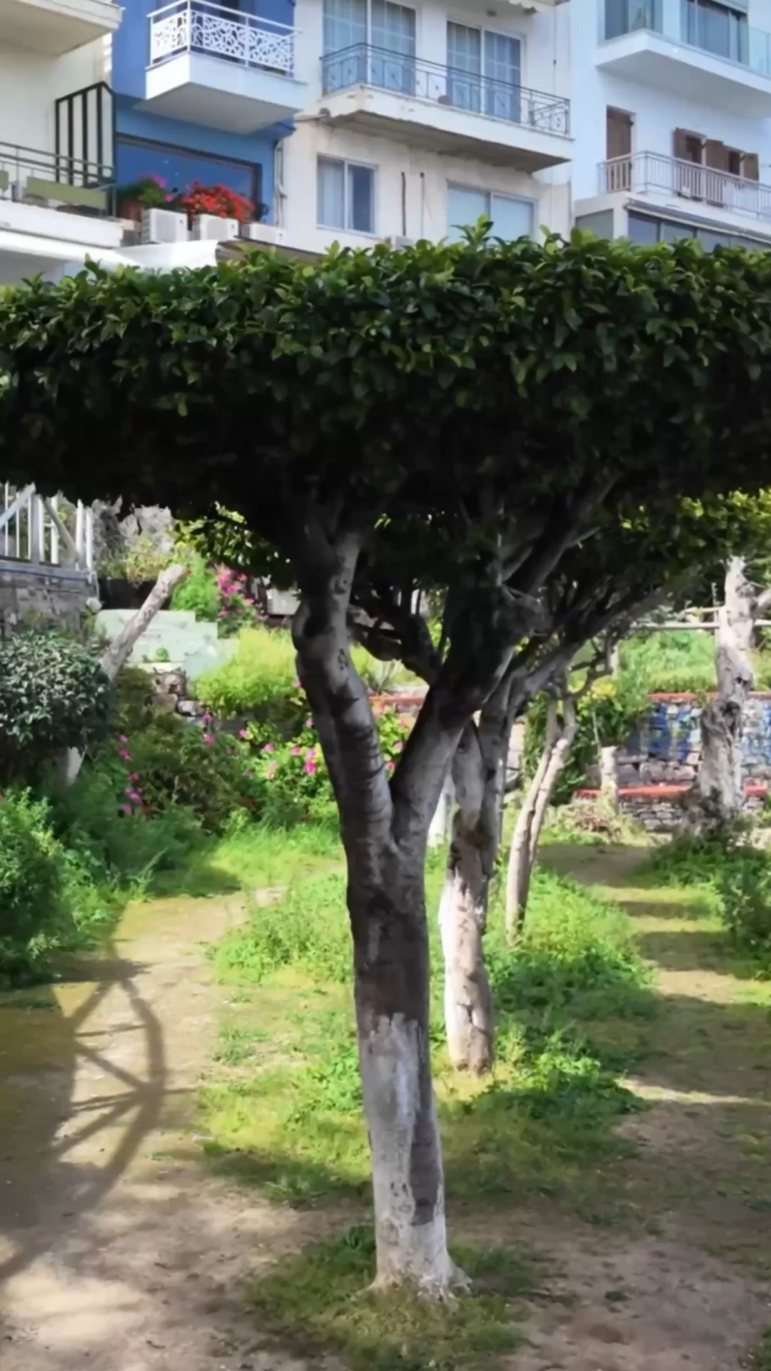 One essential skirt to pack for European spring vacations:

A sleek midi or maxi skirt — flattering fit, versatile style.

It’s chic for date nights in capital cities. And casual for daytime strolls down cobblestone streets.

The longer length is also nice in early spring’s changeable weather. Europe’s southern edge, Crete still has snow in March!

#LTKTravel #LTKgrwm #LTKOver40