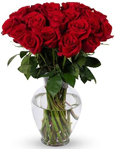 Benchmark Bouquets 2 Dozen Red Roses, With Vase (Fresh Cut Flowers) | Amazon (US)