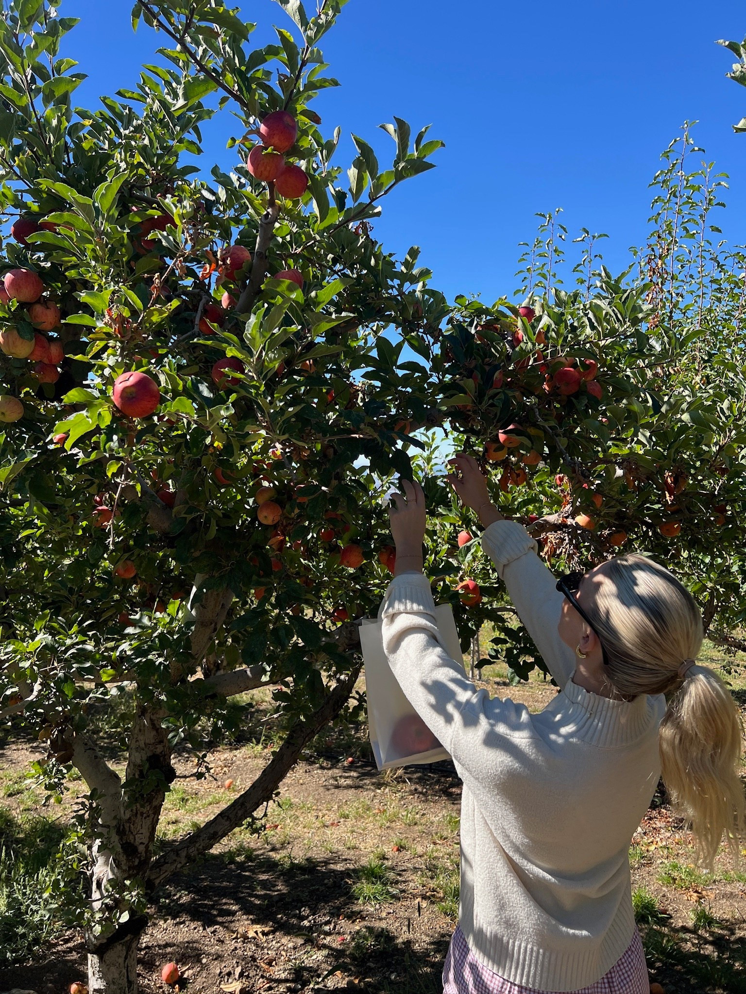 Apple picking is my new favorite hobby 🍎🍏

#LTKSeasonal #LTKFallSale
