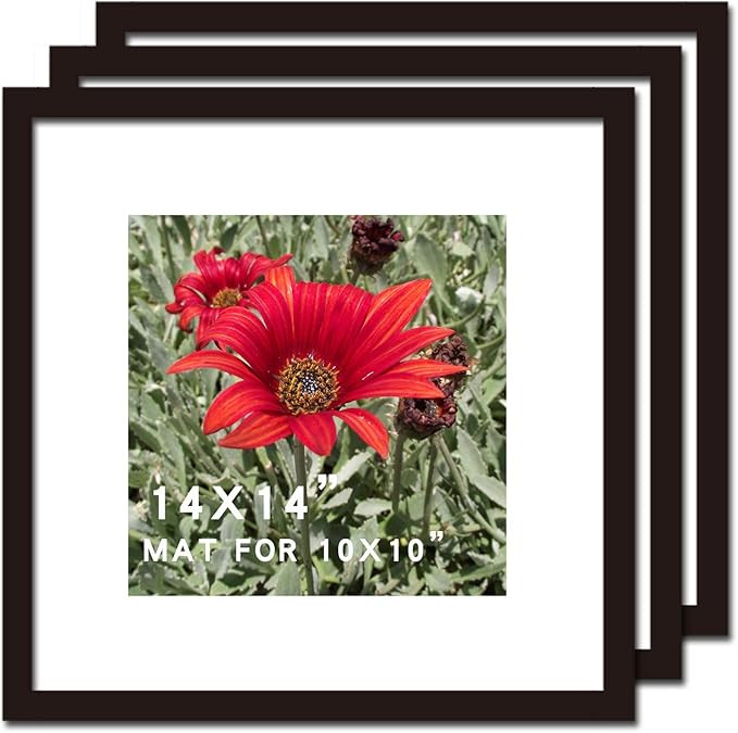 14x14 Picture Frame Black 3 Pack Solid Wood for Mat 10x10 Wall Mounting Square Poster Photo Frame... | Amazon (US)