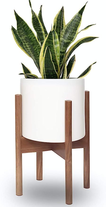 Pinecone Living Mid Century Plant Pot Stand and Modern Ceramic Flower Pot | 10 Inch Flower Pot wi... | Amazon (US)