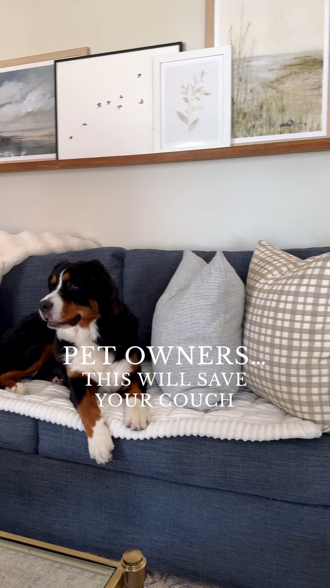 Living room decor ideas 🤍 Loving these finds for year-round display! Timeless, classic, and at various price points! Sofa cover, gallery frames, throw pillows, faux olive tree 

#LTKHome