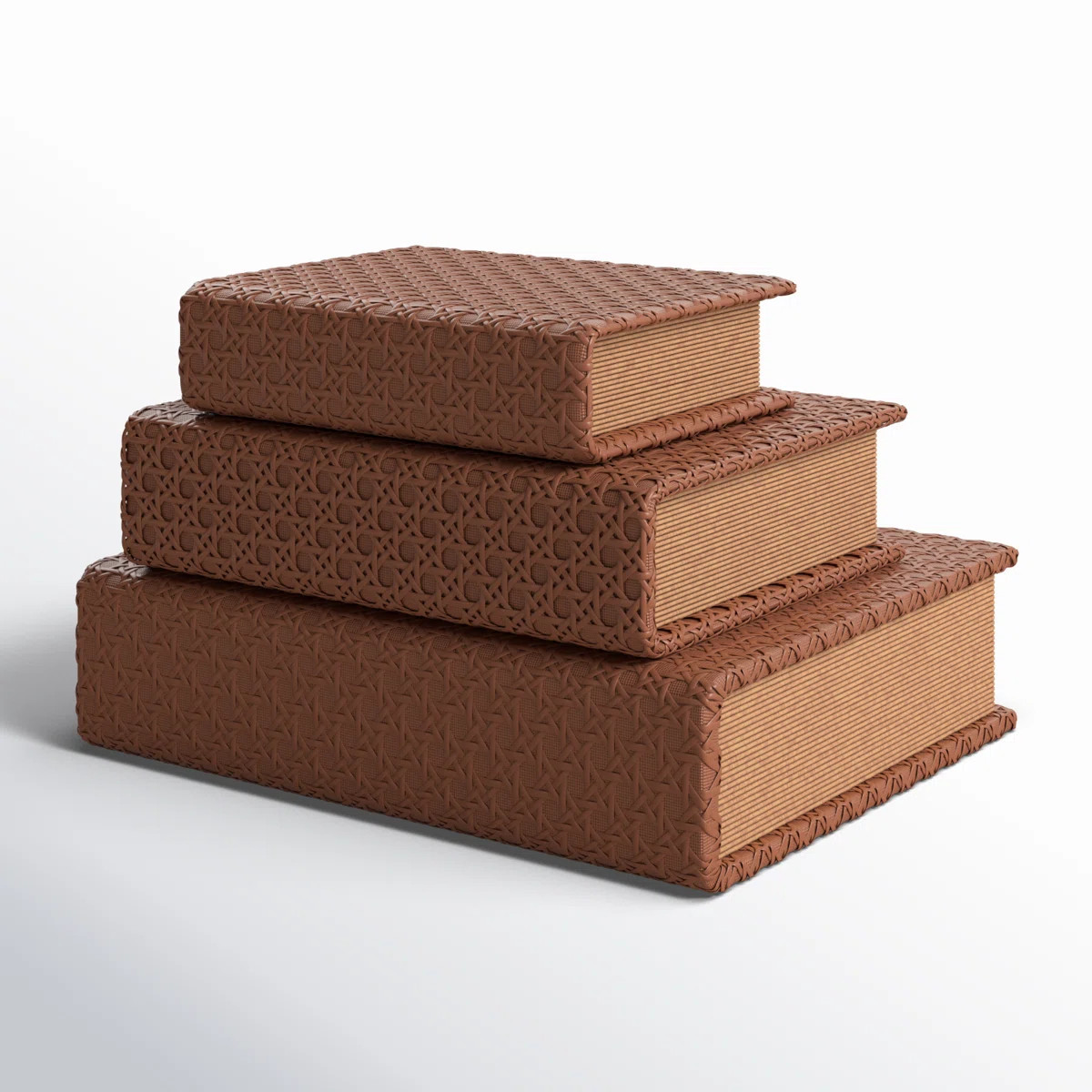 Vanora Faux Leather Book Shaped Decorative Box (Set of 3) | Wayfair North America