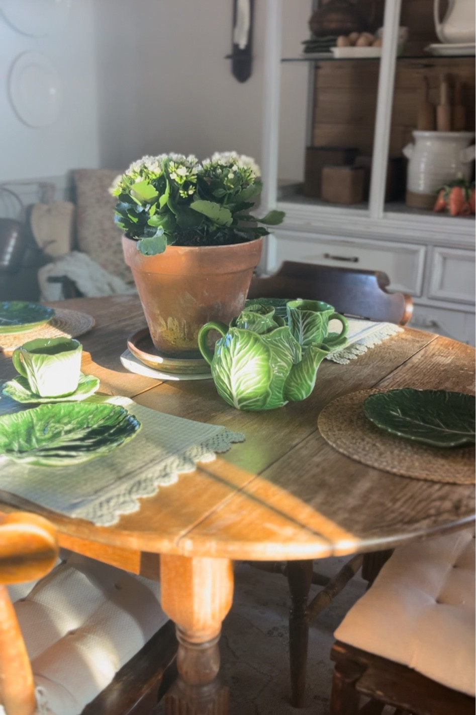 The best cabbage ware 🥬 😍

#LTKHome