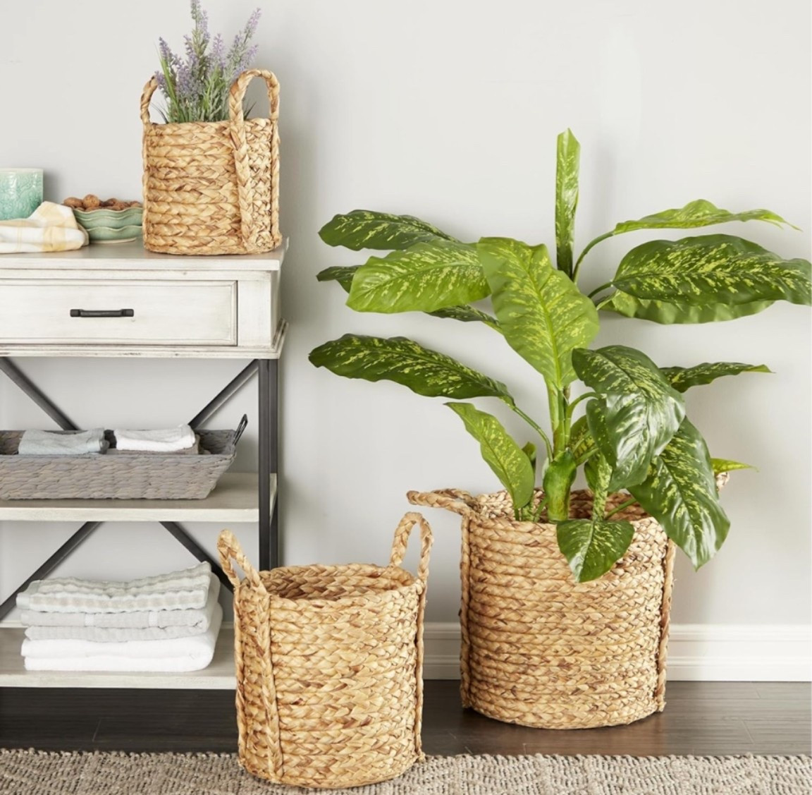 Rustic Tomato Collection 🍅🐓🌾🪿🐄

Natural woven textures and cozy farmhouse charm inspired by rustic entryways and beautifully lived in homes.

Storage baskets. Farmhouse decor. Entryway decor. Rustic farmhouse. Home organization. Woven baskets. Cottage style decor. Jute rug decor. Hallway decor. Neutral home decor. Home styling. Cozy home decor.

Shop the collection.

#LTKHome #LTKU #LTKSeasonal